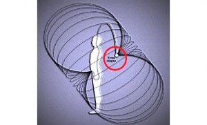 Что мешает осуществить ваши мечты?