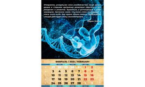 Фрактал сновидений — февраль 2025